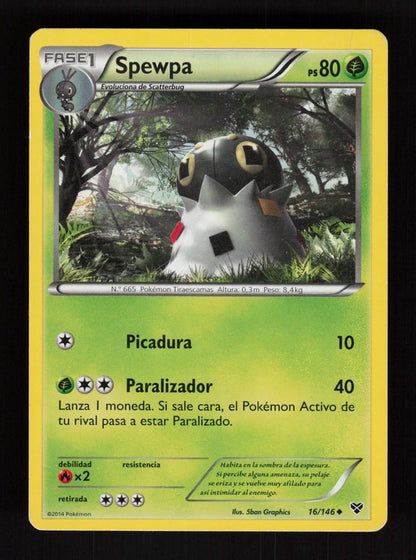Spewpa 16/146 - XY