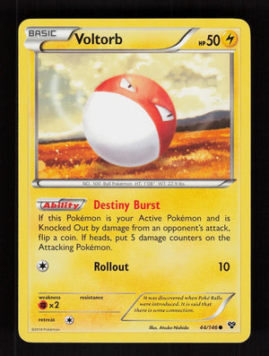 Voltorb 44/146 - XY