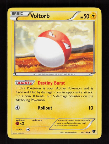 Voltorb 44/146 - XY