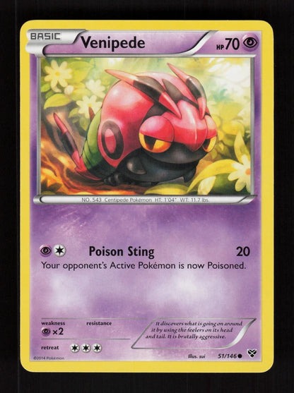 Venipede 51/146 - XY