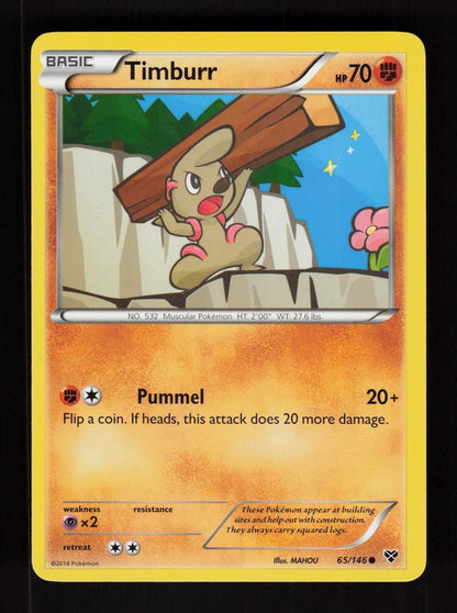 Timburr 65/146 - XY
