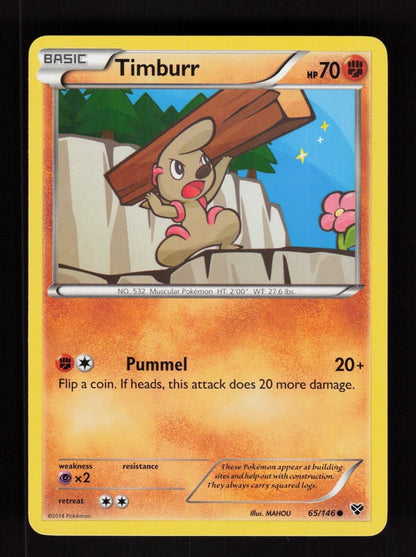 Timburr 65/146 - XY