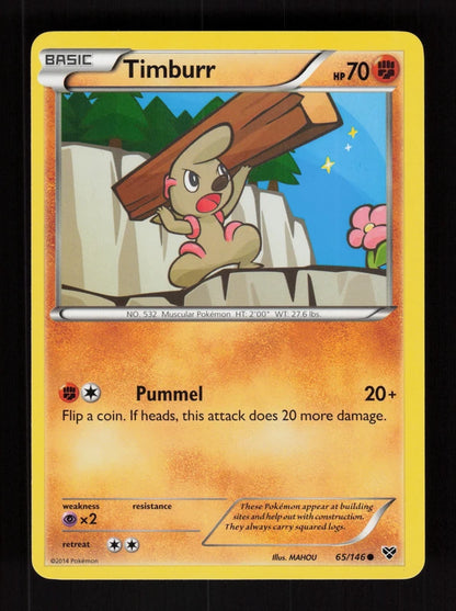Timburr 65/146 - XY