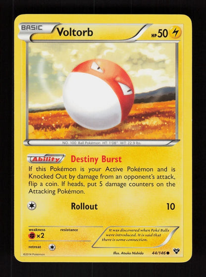 Voltorb 44/146 - XY