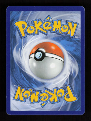 Shellder 31/146 - XY