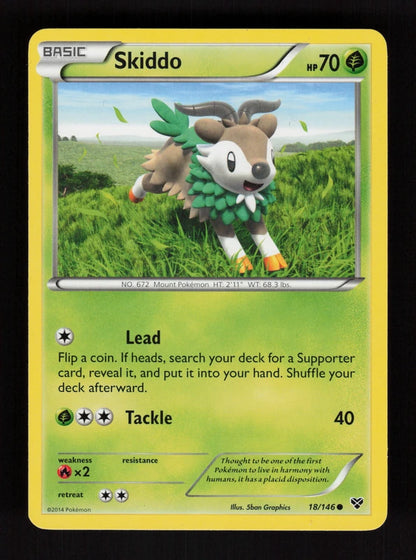 Skiddo 18/146 - XY