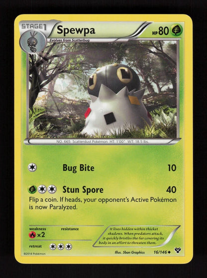 Spewpa 16/146 - XY