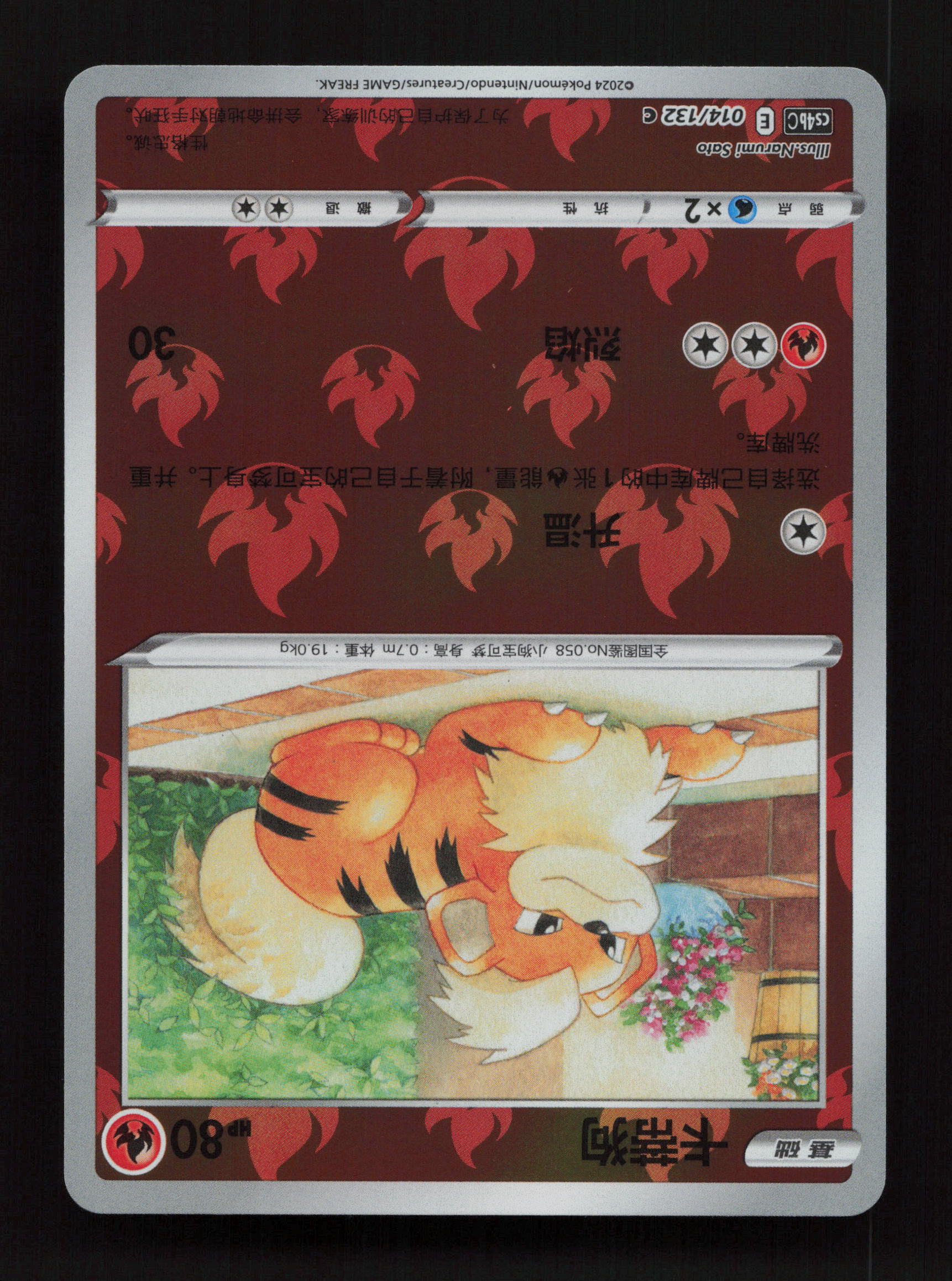 Growlithe 014/132 - - Nine Colors Gathering - Origin