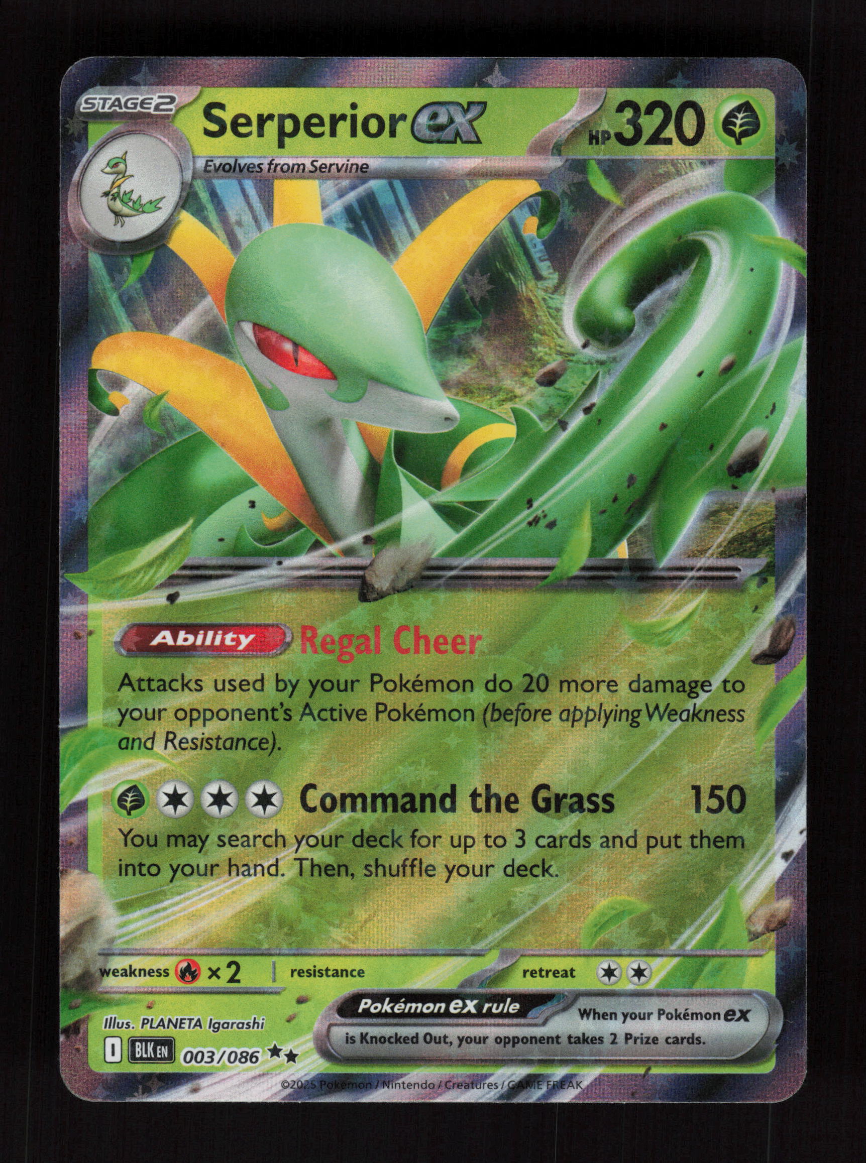 Quaquaval -  (Prerelease) 005 - Promo - SV: Scarlet & Violet Promo Cards 