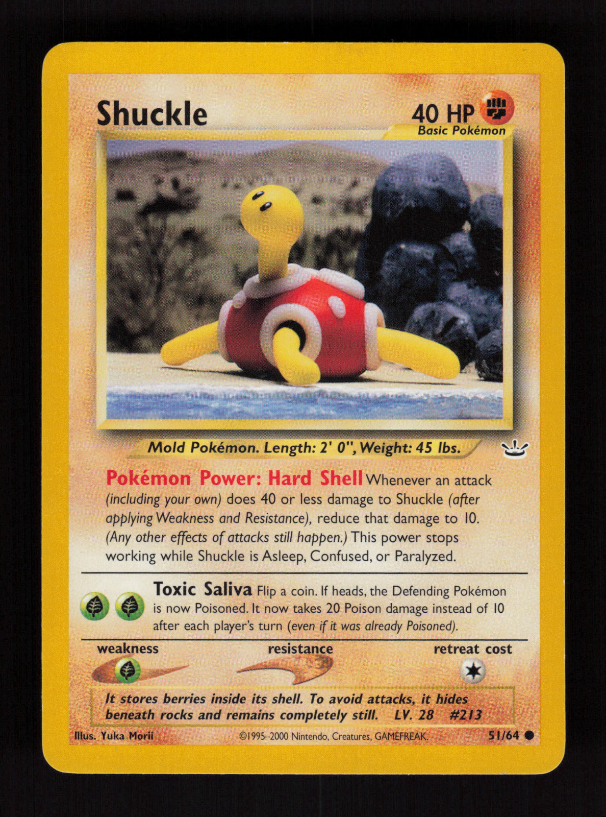 Shuckle 51/64 - Common - Neo Revelation