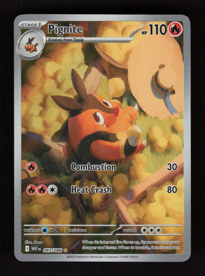 Pignite 097/086 - Illustration Rare - SV: White Flare 