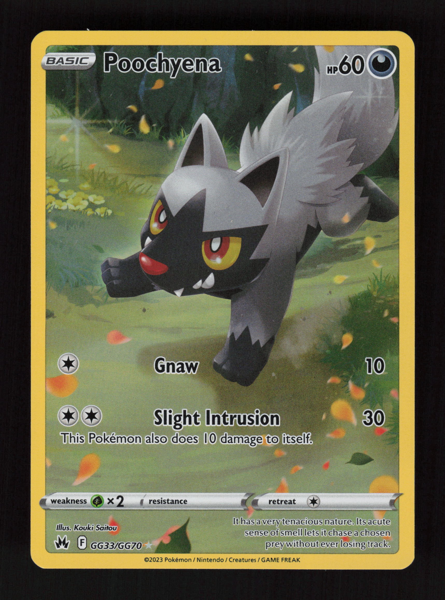 Poochyena GG33/GG70 - Ultra Rare - Crown Zenith: Galarian Gallery 