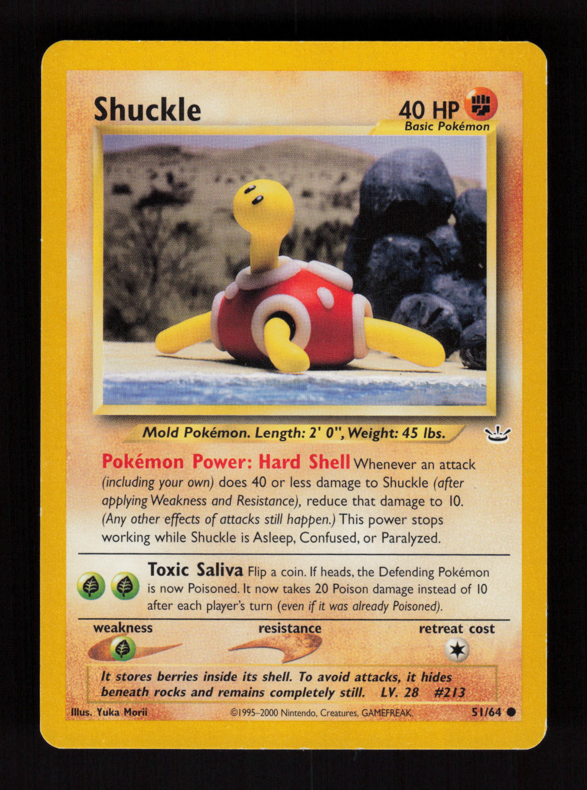 Shuckle 51/64 - Common - Neo Revelation