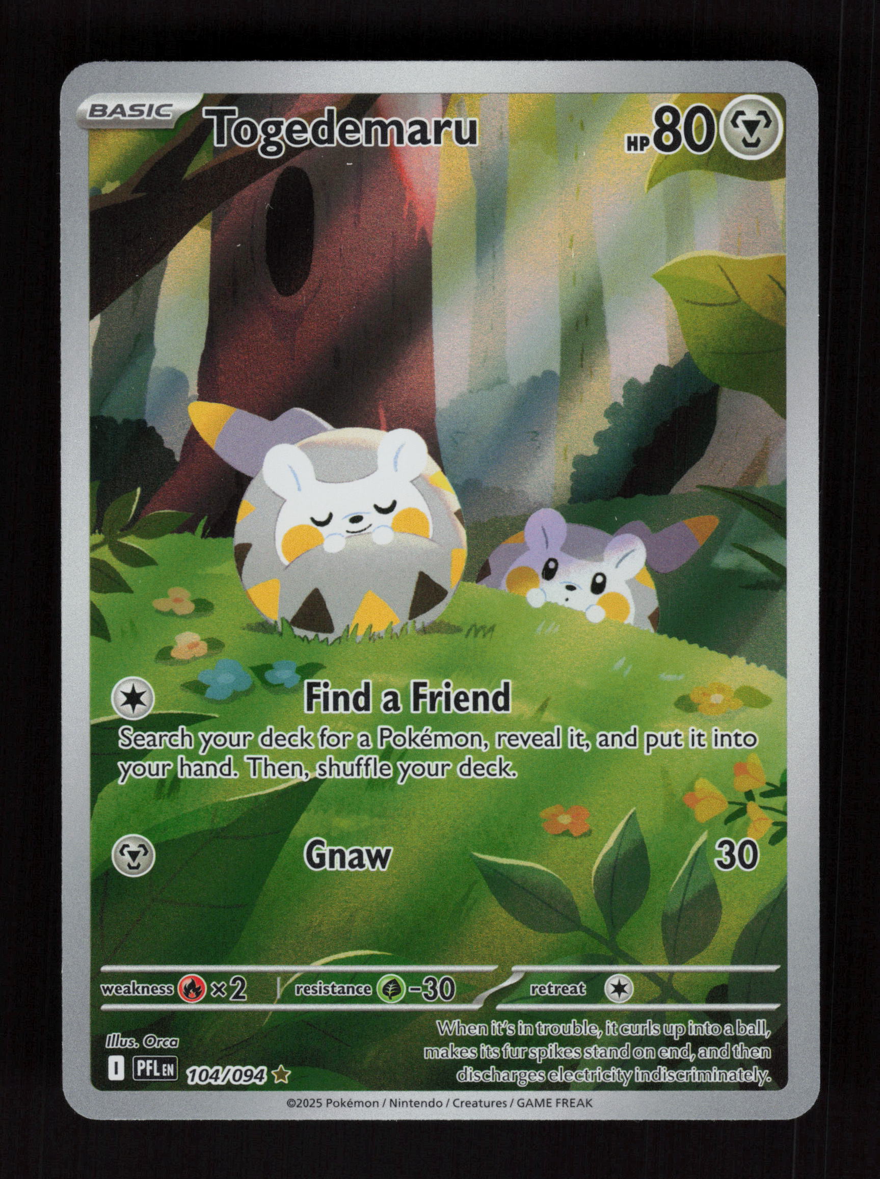 Togedemaru 104/094 - Illustration Rare - ME02: Phantasmal Flames 