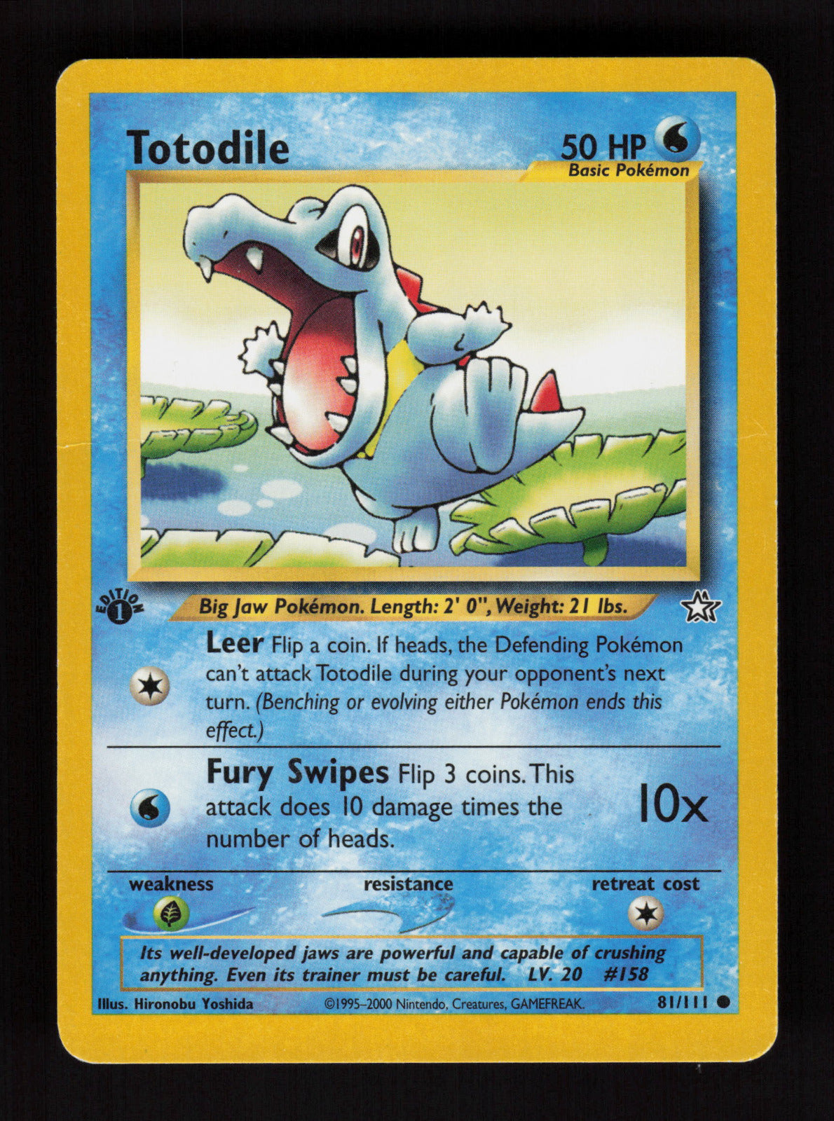 Totodile (81) 081/111 - Common - Neo Genesis